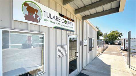 tulare city animal shelter|tulare county animal services website.